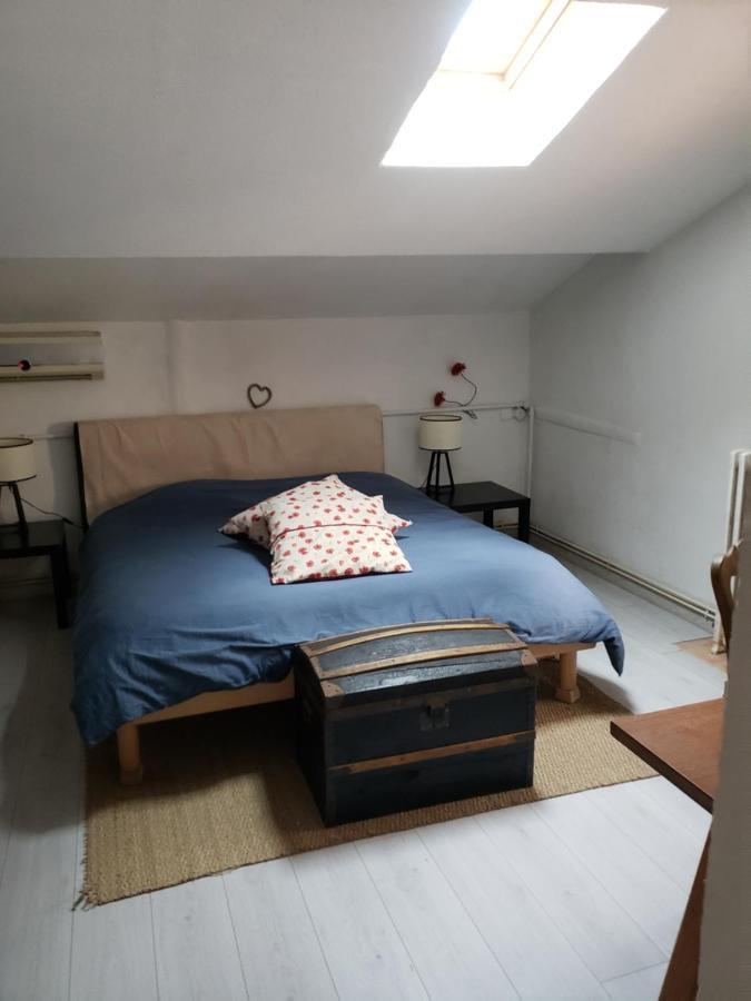 Chambre Dans Une Grande Maison Entre Canal Du Midi Et Centre Ville Безье Экстерьер фото